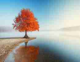 专‍业‌图‍像‍识‍别﻿服‌务​包​括​